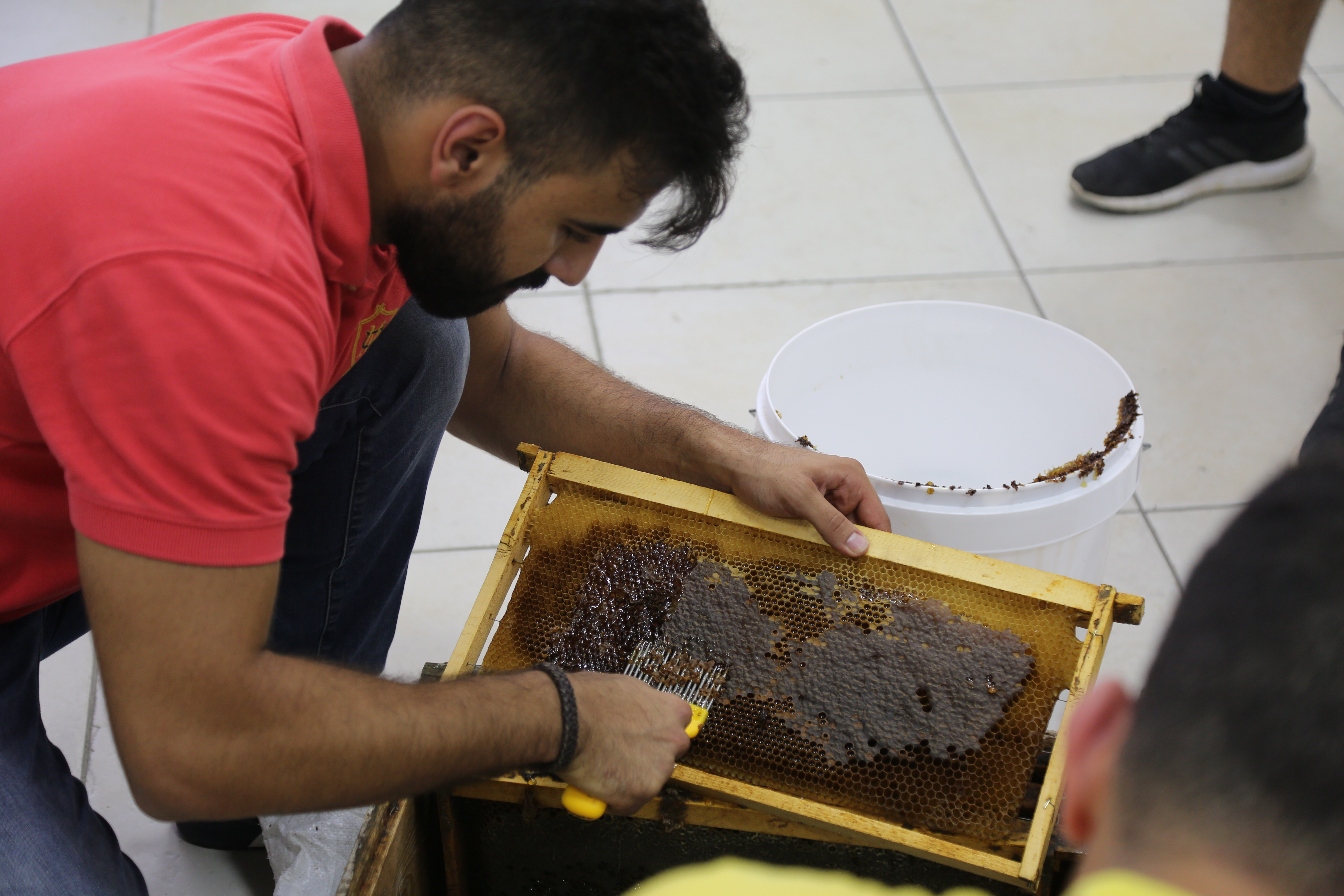 Apprendre L'Apiculture - CENTER FOR CAREER DEVELOPMENT